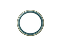 Front wheels oil seal for dial