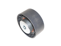 Rullo guida (ex 1512749)