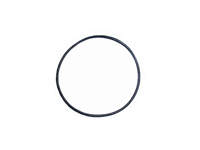 O-ring bilanciere