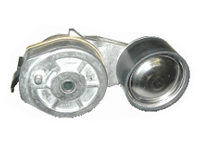 Tendicinghia (ex 20935521)